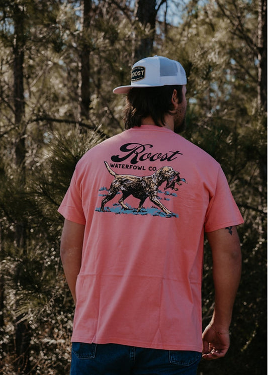 rw219 Vintage Retriever