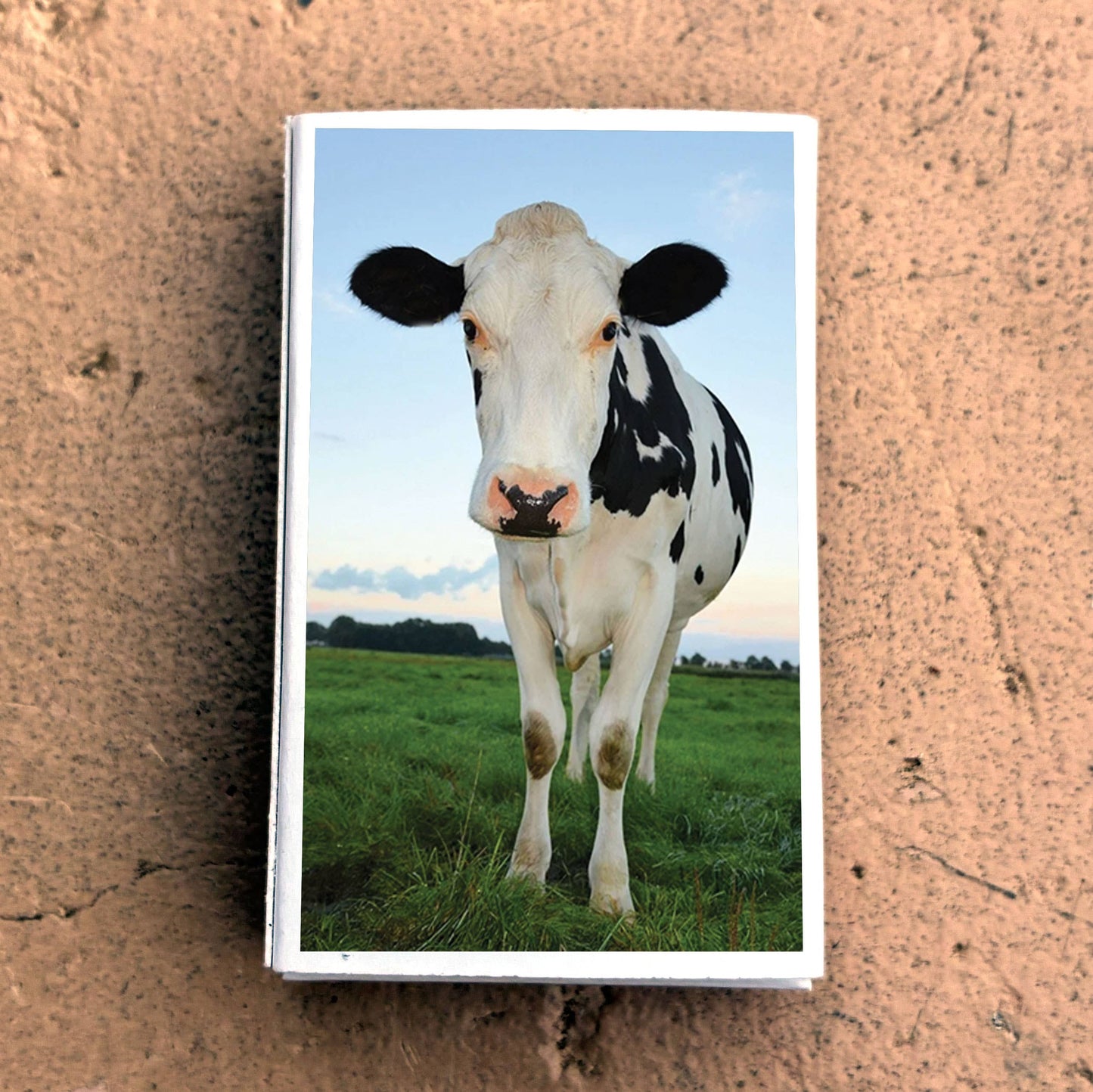 Matches • Cow Matchboxes • Home Decor for Candles & Incense