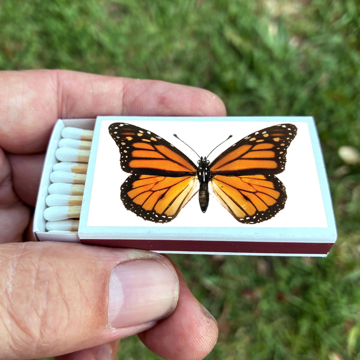 Matches • Monarch Butterfly•Home Decor for Candles & Incense