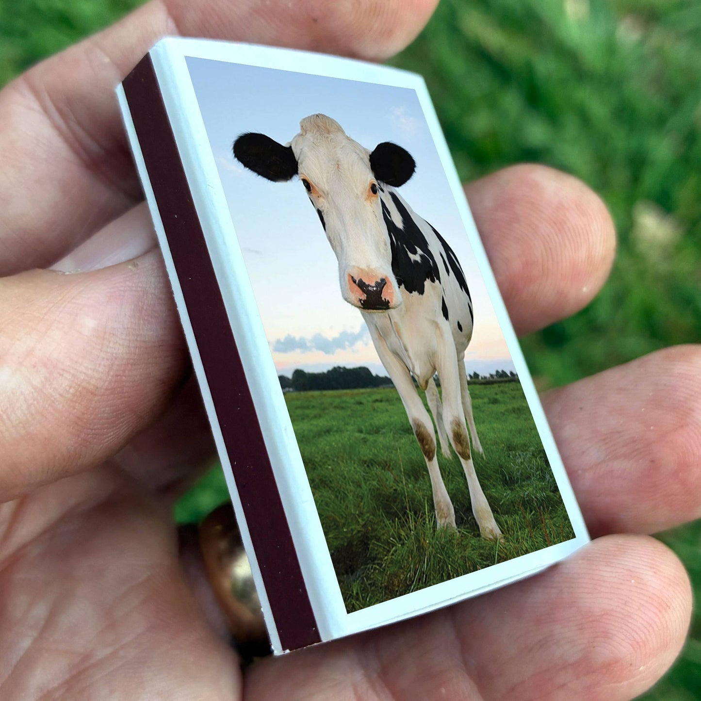 Matches • Cow Matchboxes • Home Decor for Candles & Incense