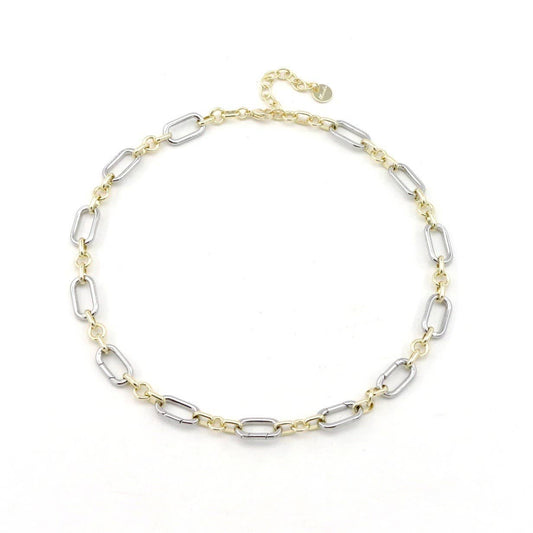 Two Tone Collectors Necklace - for Charms and Pendants