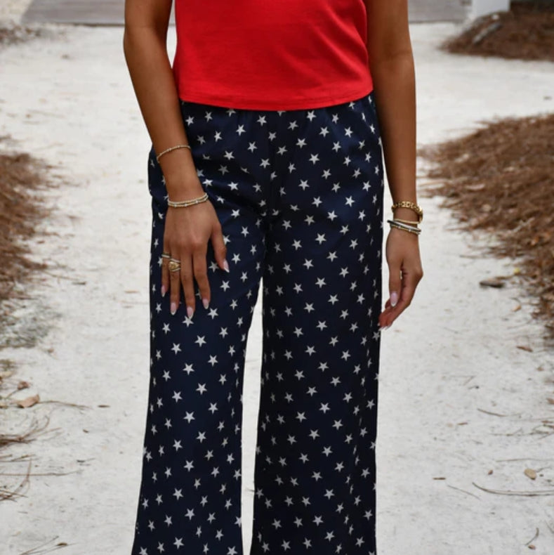 LM-PA-1002 NAVY STAR PANT