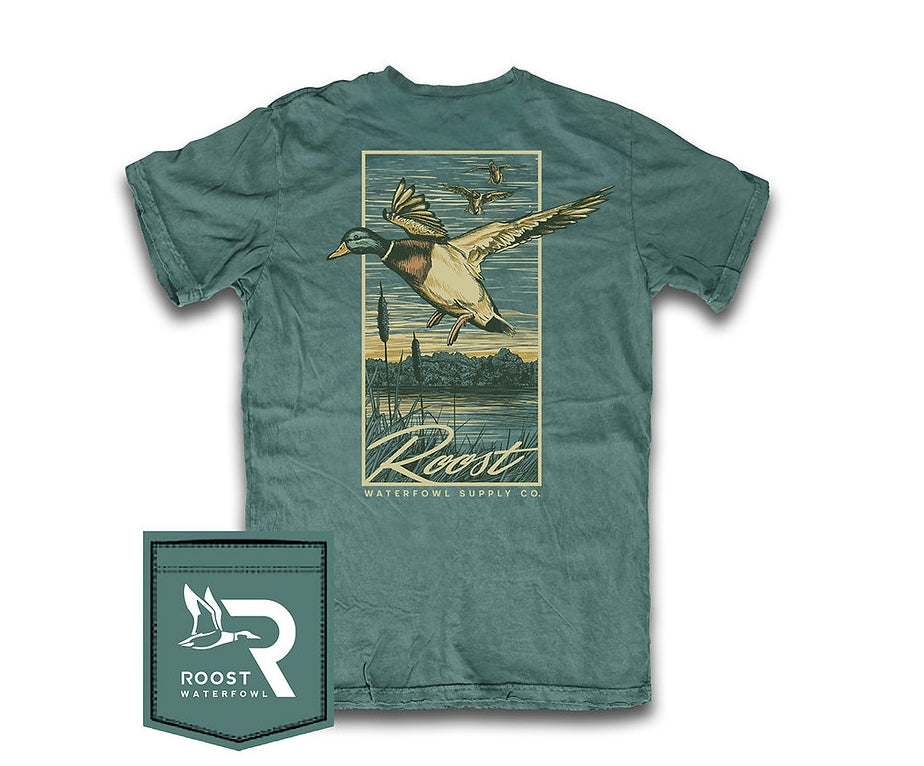 RW241