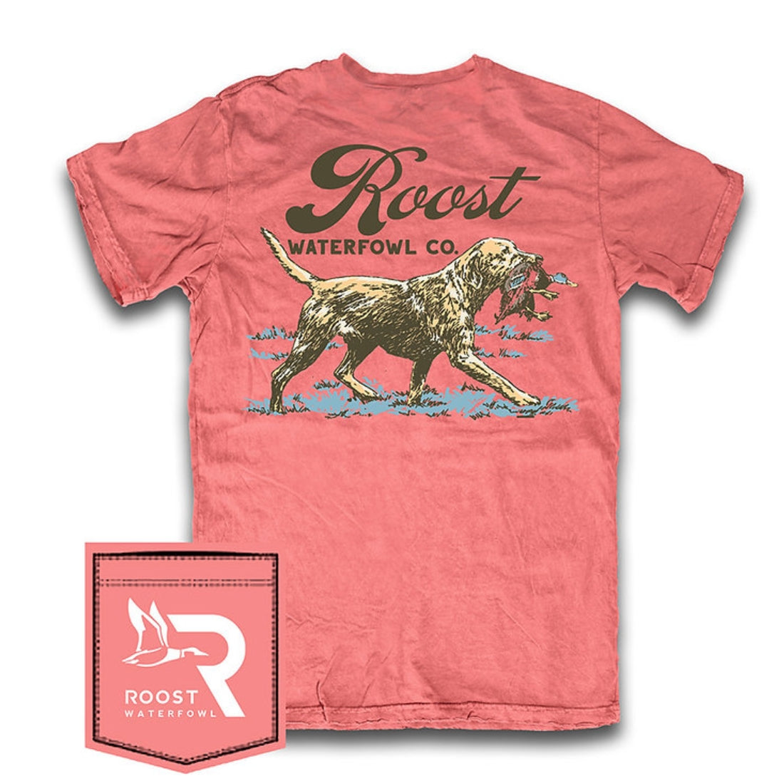 rw219 Vintage Retriever