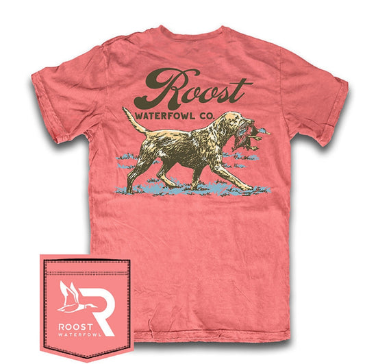 rw219 Vintage Retriever