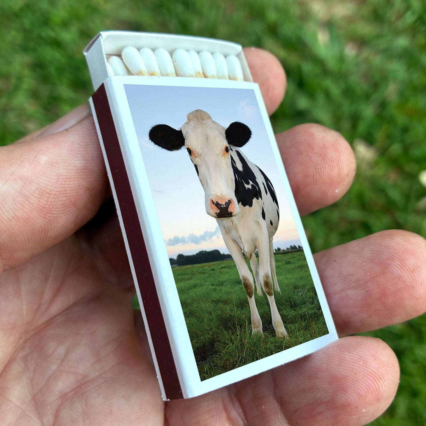 Matches • Cow Matchboxes • Home Decor for Candles & Incense
