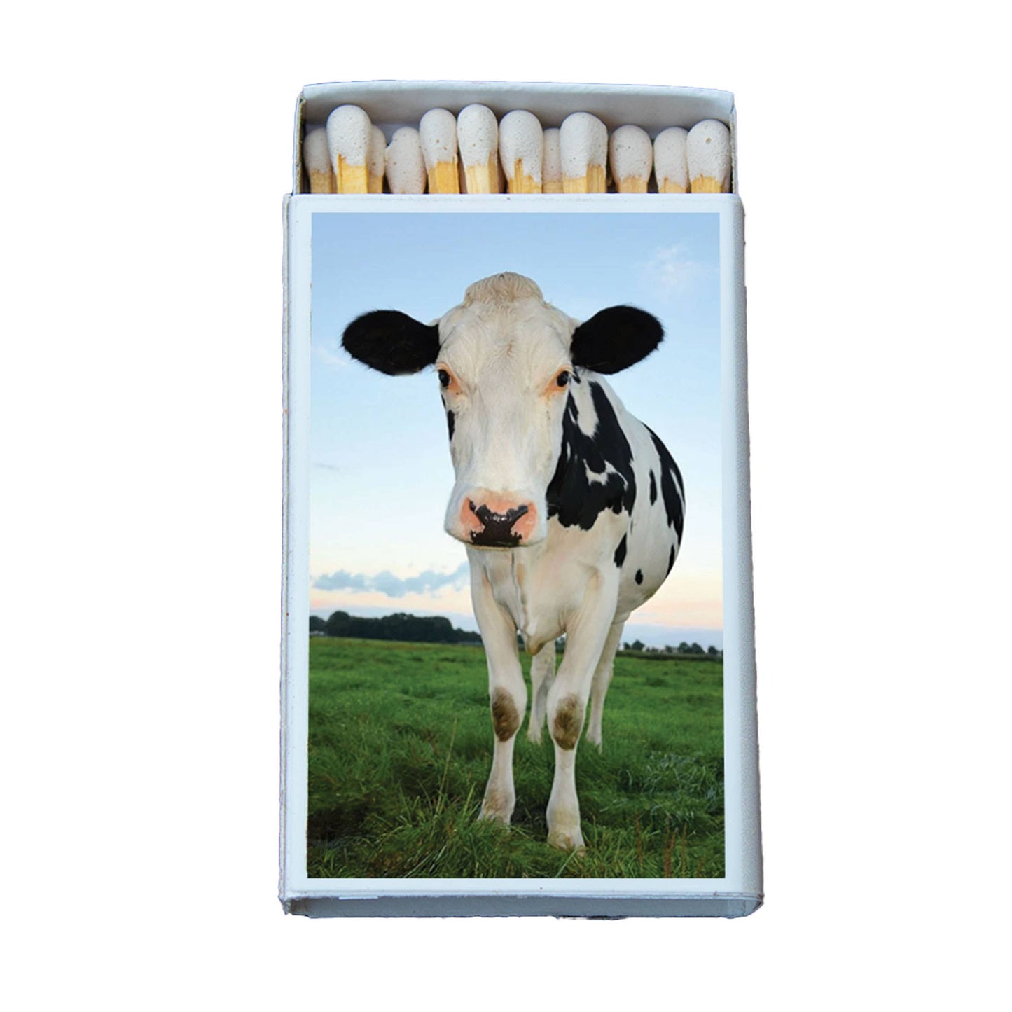 Matches • Cow Matchboxes • Home Decor for Candles & Incense