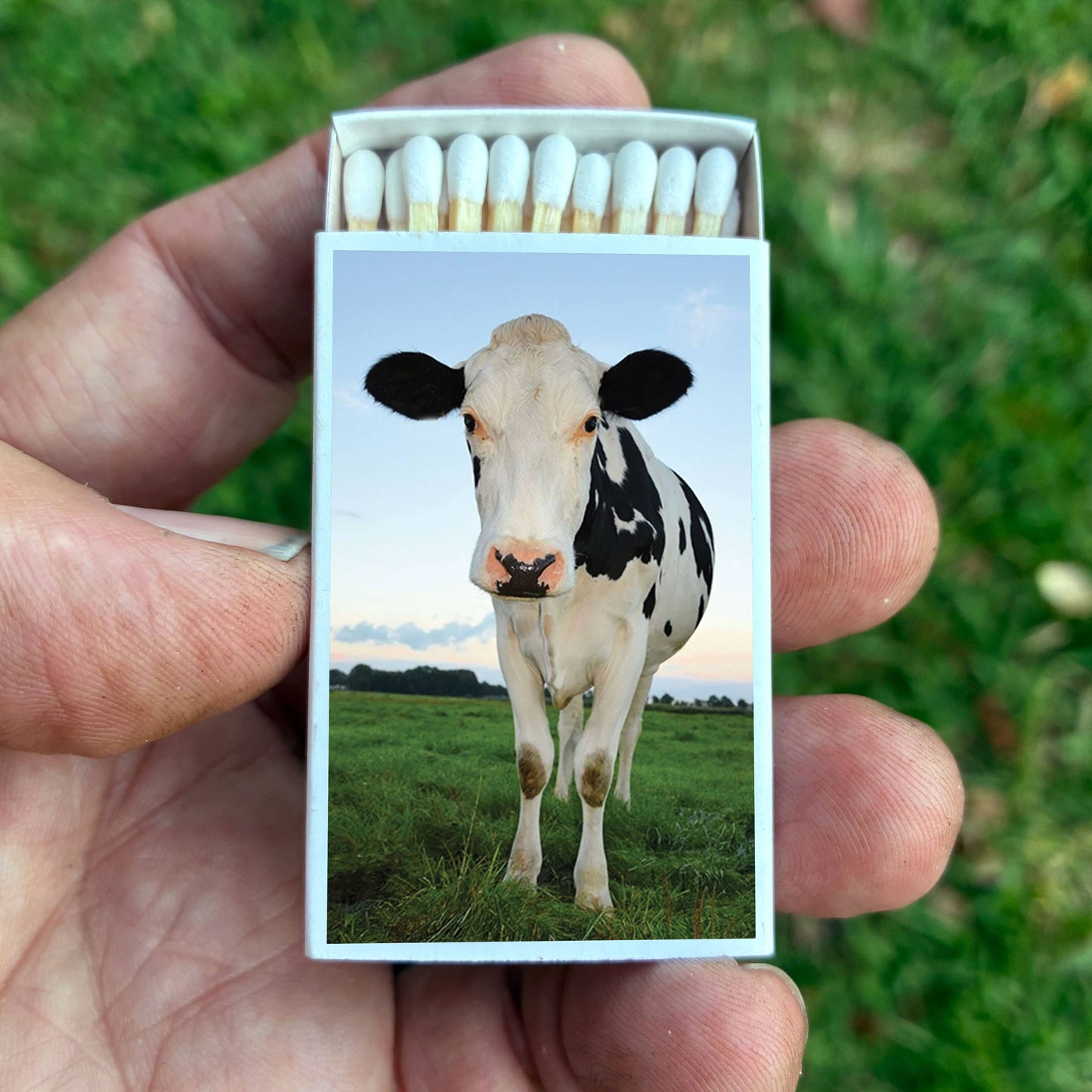 Matches • Cow Matchboxes • Home Decor for Candles & Incense